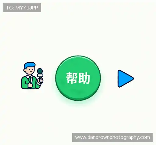 用户常见疑问